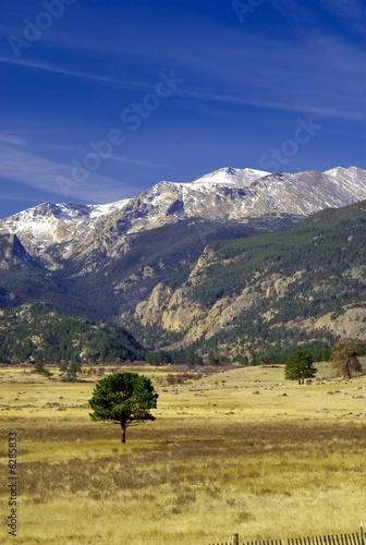 Photo: Rocky Mountains with tree in foreground Rocky Mountains with tree in foreground
