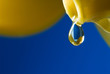 Photo: Honey drop Honey drop