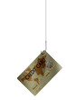 Credit card on a fishing hook and line