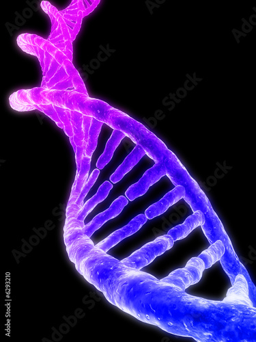 Illustration: dna strang dna strang