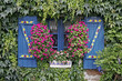 Concarneau, blaues Fenster, Bretagne