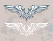wings wings