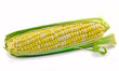 Fresh corn cob