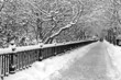 Boston Winter..