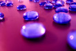 Take the blue pill! Take the blue pill!