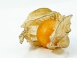Physalis Fruit