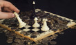 Chess and coins. The monetary strategy. Pole battle.