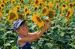 JEUNE GARçON DANS UN CHAMP DE TOURNESOLS