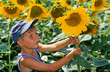 JEUNE GARçON DANS UN CHAMP DE TOURNESOLS - 2