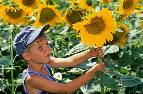 Photo: JEUNE GARçON DANS UN CHAMP DE TOURNESOLS - 2 JEUNE GARçON DANS UN CHAMP DE TOURNESOLS - 2