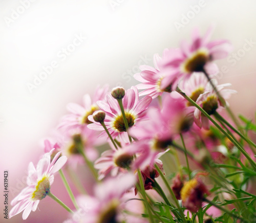 Frühling