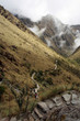 Long Trail
