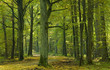 Sunny autumnal ground road Sunny autumnal ground road