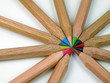 Colored Pencils-Radial