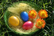osternest