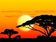 Africa sundown Africa sundown