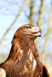 Foto: Blick Blick