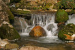 Cascade in the medium of nature