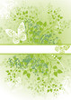 green background - vector