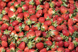 Fraises