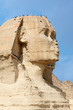 The great sphinx near of Cairo, Egypt
