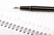 an expensive pen on an agenda 1