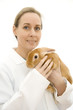 Vet with rabbit