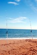 surf fishing poles