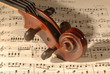 violino