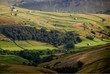 Walls and barns in Swaledale, Yorkshire Dales 