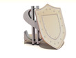 Shield with dollar