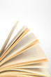 fragment of opening book