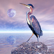 Heron