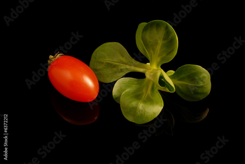 sugo sugo