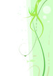 Two Fishes Background