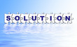 solution-puzzle solution-puzzle