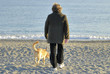 compagni