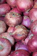 Exotische Früchte 2334