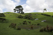 Dorf in Neuseeland