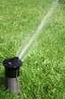 Lawn Sprinkler