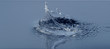 Splash