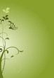 vecteur série - décorations plante en courbes vectorielles