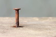 rusty nail in wood