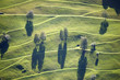 Wege Labyrinth