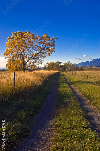 Photo: A rural road outside of Boulder Colorado in Autumn A rural road outside of Boulder Colorado in Autumn