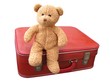Teddy's Holiday