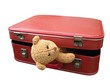 Kidnapped Teddy