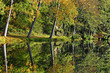 reflets d'automne