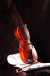 Composition of music notes with old violin