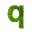 grass lower-case letter